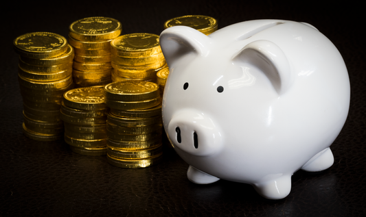 Préstamos estudiantiles y planes de pago en Estados Unidos — Consejo Capital