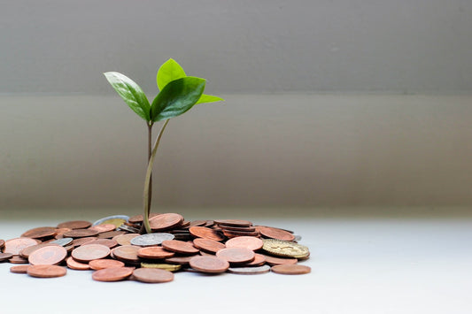 Ahorro — Consejo Capital