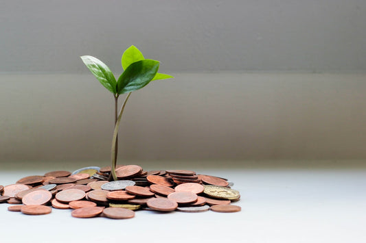 Ahorro en certificado de depósito y tasas de interés — Consejo Capital