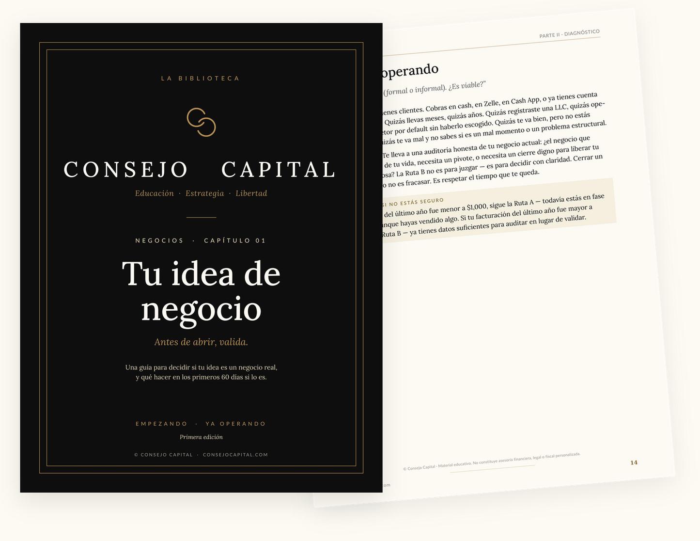 Capítulo 01 · Negocios — Tu idea de negocio