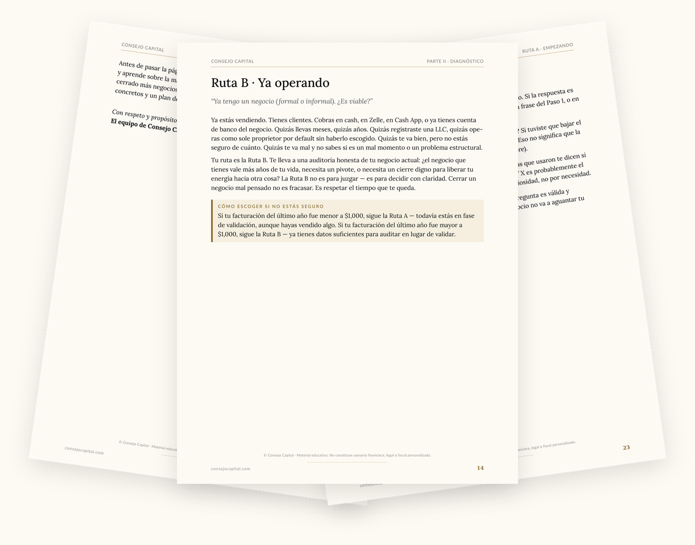 Capítulo 01 · Negocios — Tu idea de negocio
