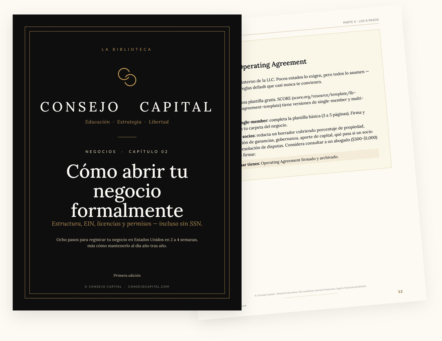 Capítulo 02 · Negocios — Cómo abrir tu negocio formalmente